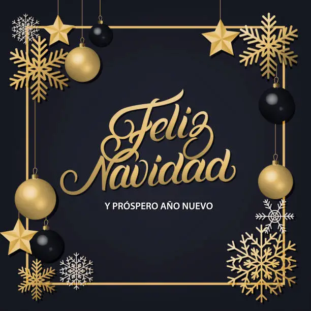 Vector illustration of Feliz Navidad hand written lettering with golden decoration ornament.