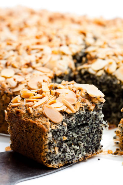 Poppy  seed pie freshly baked isolated on white