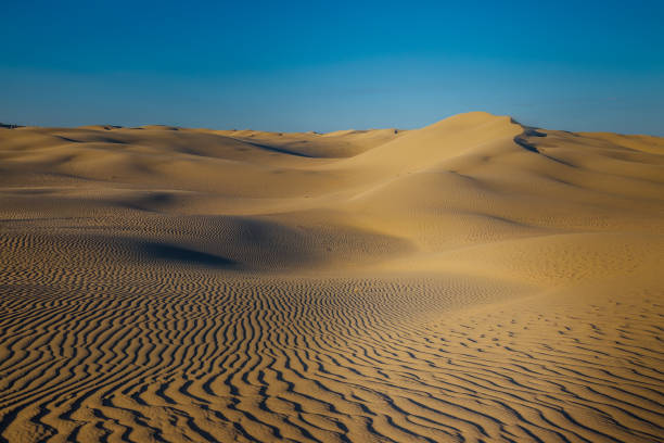 istock Natural desert landscape, sand dunes 871394448