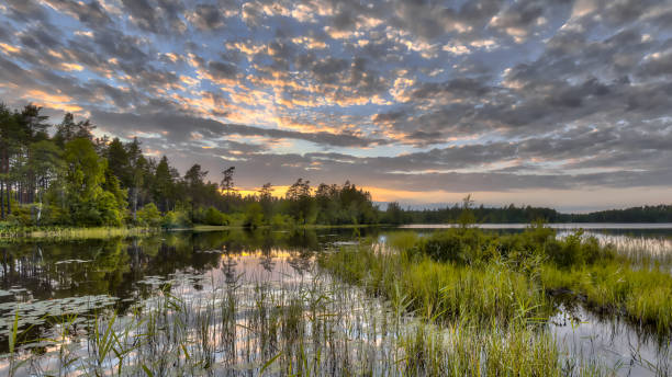 istock Nordvattnet Forest lake in Hokensas Nature reserve 871406832