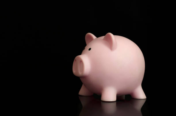 istock Pink piggy bank isolated on black background 871409446