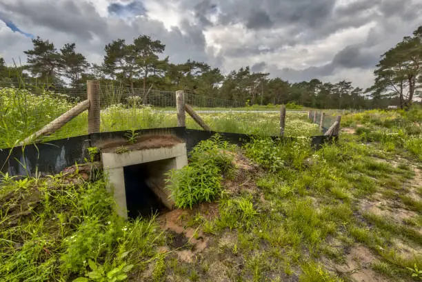 Wildlife underpass crossing culvert  for animals under a highway in the Netherlands