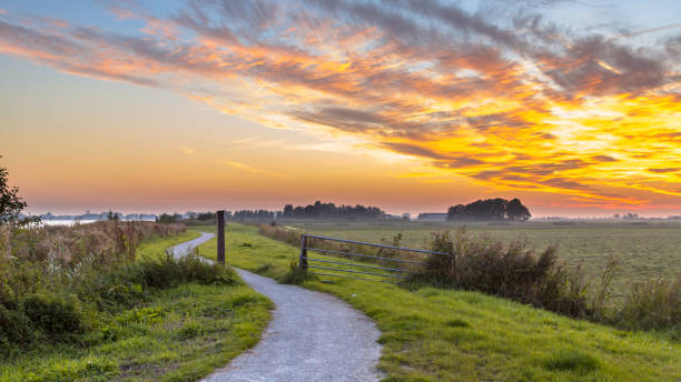 Winding cycling track through Dutch Polder Winding cycling track through Dutch Polder landscape under beautiful sunset friesland netherlands stock pictures, royalty-free photos & images
