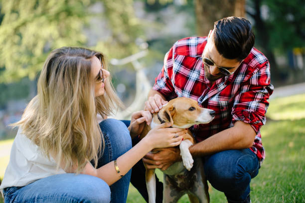 istock Young happy couple with dog 871414348