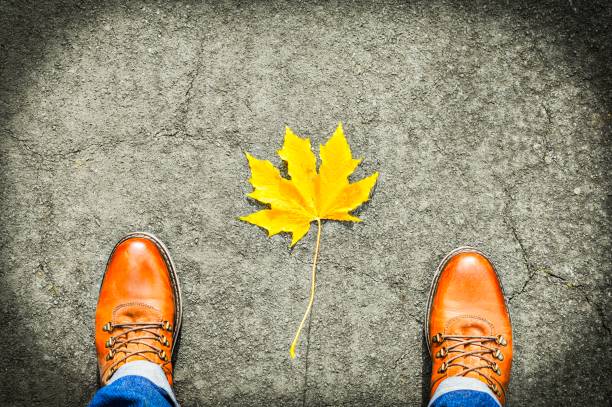 istock Fall at Your Feet - POV Study of Autumn/Fall Leaves on the Ground 871417812