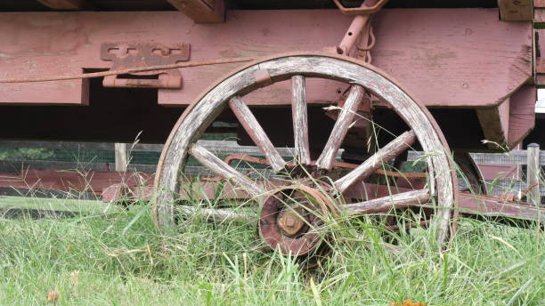 istock Broken wheel of an abandoned wagon on a farm 871420544