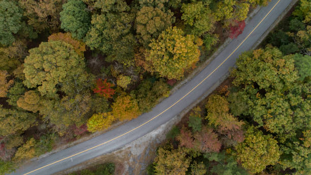 istock Autumn Aerial Looking Straight Down with Road and Trees 871425236