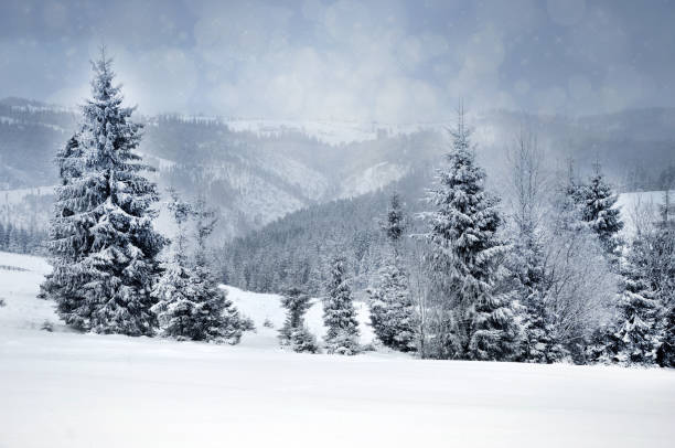 istock Winter landscape with snowy trees and snowflakes 871427872