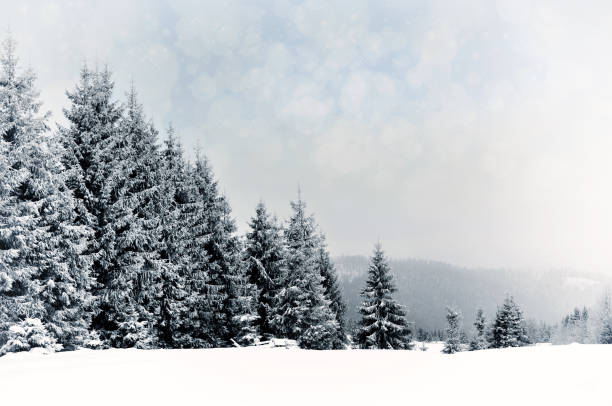 istock Winter landscape with snowy trees and snowflakes 871427876