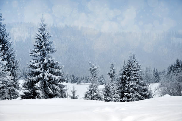 istock Winter landscape with snowy trees and snowflakes 871427882