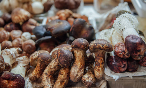 istock Organic Fresh Mushrooms in Market 871437114