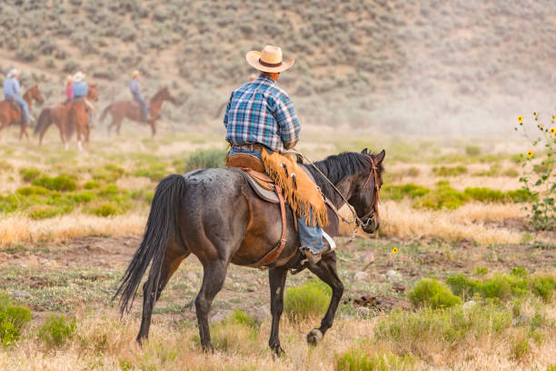 istock Cowboy Working to Herd a Group of Wild Horses 871438090