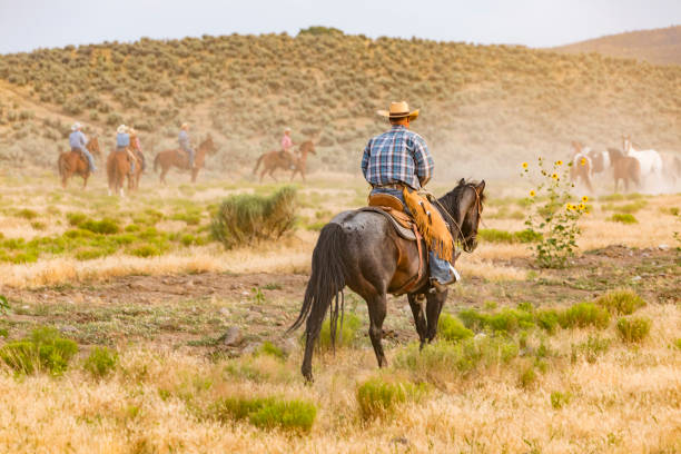 istock Cowboy Working to Herd a Group of Wild Horses 871438092