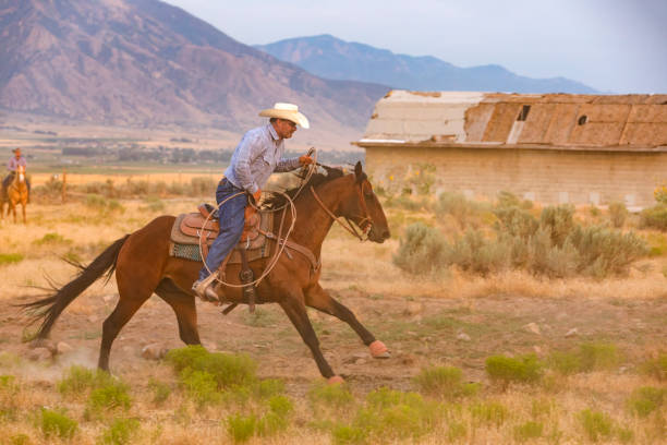 istock Cowboy Working to Herd a Group of Wild Horses 871438132