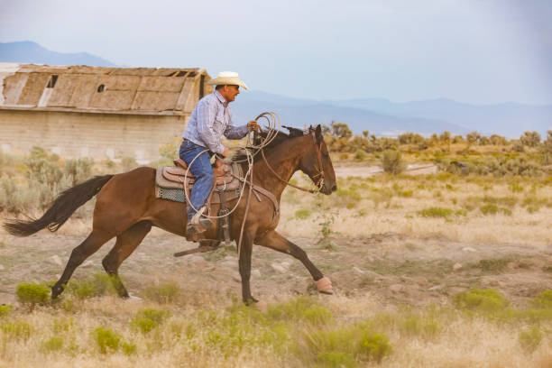 istock Cowboy Working to Herd a Group of Wild Horses 871438148
