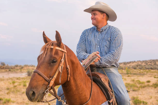 istock Cowboy Riding in a Field at Sunset 871438210