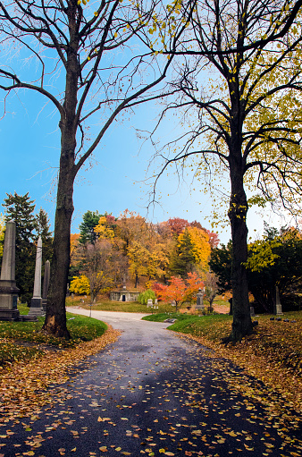Autumn in Greenwood Cemetery in Park Slope, Brooklyn, New York City