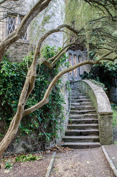 kamienne schody na tyłach zamku malahide w irlandii w dzień jesieni - malahide zdjęcia i obrazy z banku zdjęć