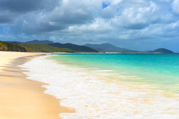 istock Beautiful tropical beach with white foam sea wave 871445118