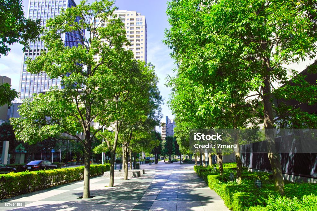 The office town of sunlight through the sun The downtown office street in the Tokyo Minato Ward City Stock Photo