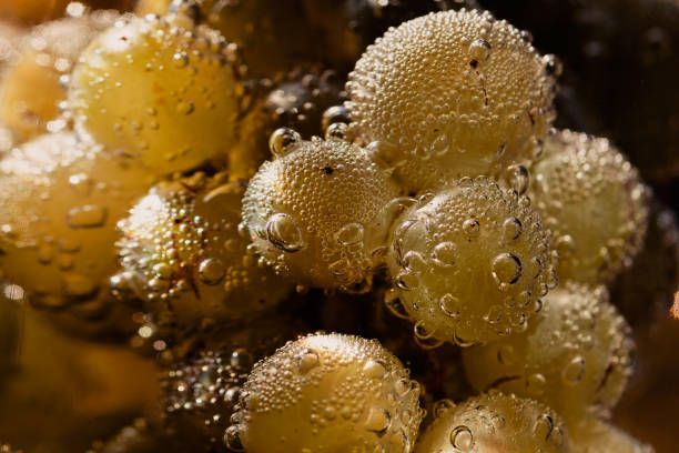 White grapes in water