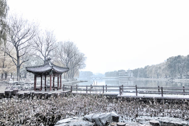 istock Big snow in a park of Beijing 871458210