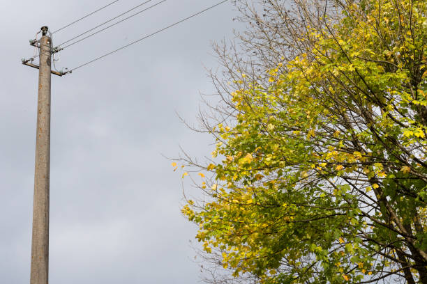 istock november sky with power pole masts and aircraft contrails high above 871461168
