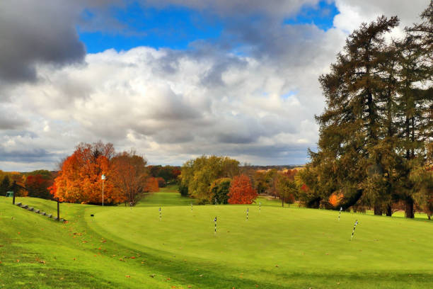 istock Beautiful autumn nature background. 871461422