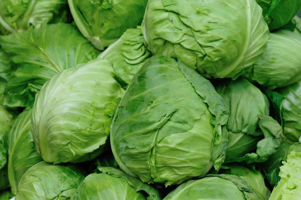 istock fresh cabbages selling at market 871468182
