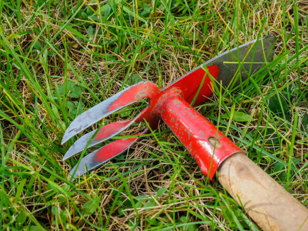 istock Hoe lies on the green lawn. Tools for garden work. 871472286