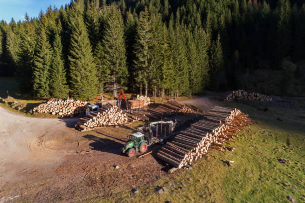 aerial view of wood mining in Dolomites aerial view of wood mining in Dolomites. Loading timber on truck. lumber industry timber lumberyard industry stock pictures, royalty-free photos & images