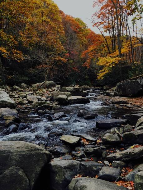 istock Tranquil waters and colors of Fall 871479316