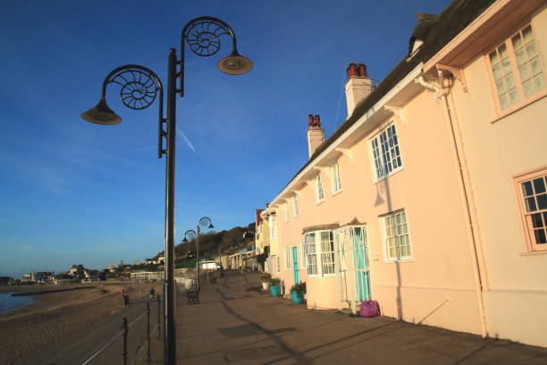 istock Lamp posts in the shape of fossil 871483850