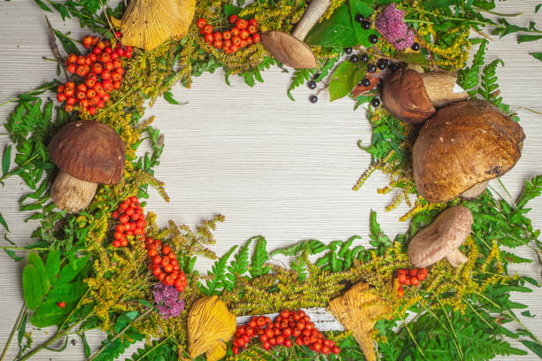 istock Autumn still life of mushrooms 871487238