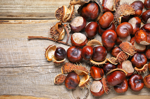 Heap of fresh horse chestnuts on rustic wooden background. Top view point, vibrant colors.