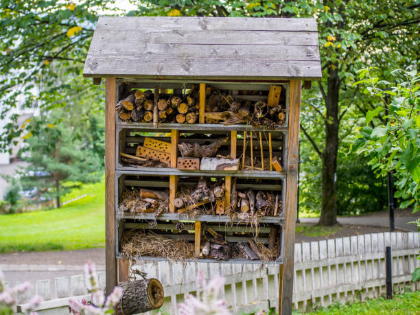 istock Bugs and butterfly hotel, man made 871490016
