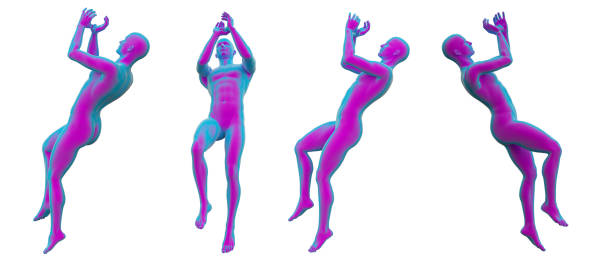 3D rendering illustration of the human anatomy