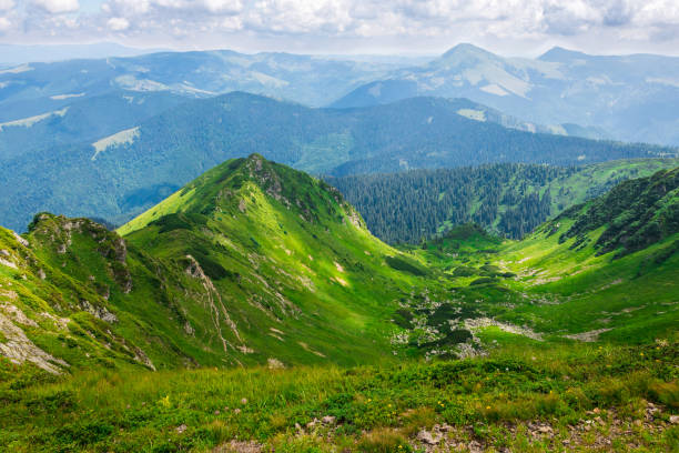 istock green mountains of Ukraine, Carpathians 871494244