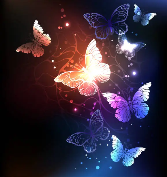 Vector illustration of Night butterflies