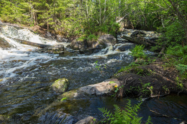 istock Landscape with a river in the forest of Karelia 871501694