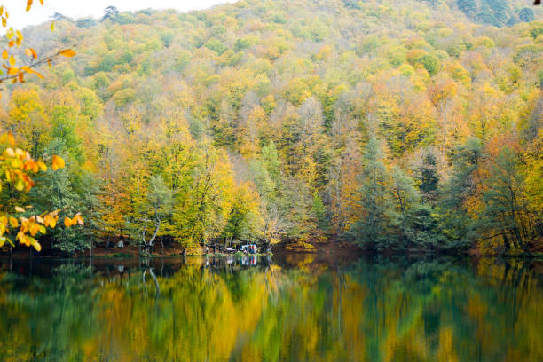 istock Autumn, forest, colorful leaves and waterfall, stream, lake views 871502234