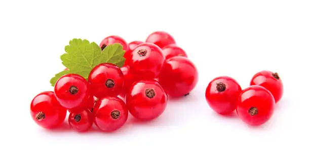 Photo of Red currants berry