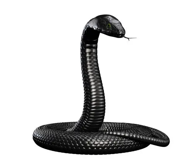 Black snake isolated on white background. 3D illustration