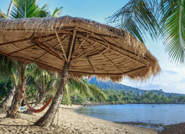 istock Hammock  and sunshade on a tropical beach 871510494