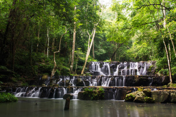 istock Beautiful waterfalls in green forest at THAILAND 871512878