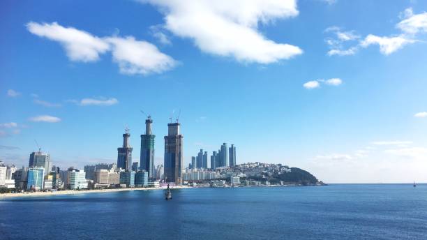 istock Busan city view from dongbaek park 871513514