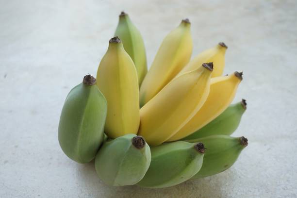 istock Cultivated banana fruit 871518120