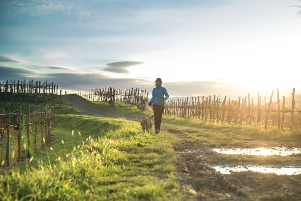 Woman Running with Dog During Sunrise on Muddy Dirt Road