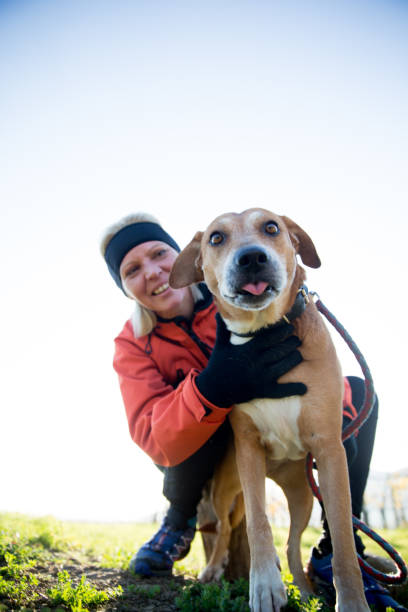 istock Woman Petting her Dog 871518890