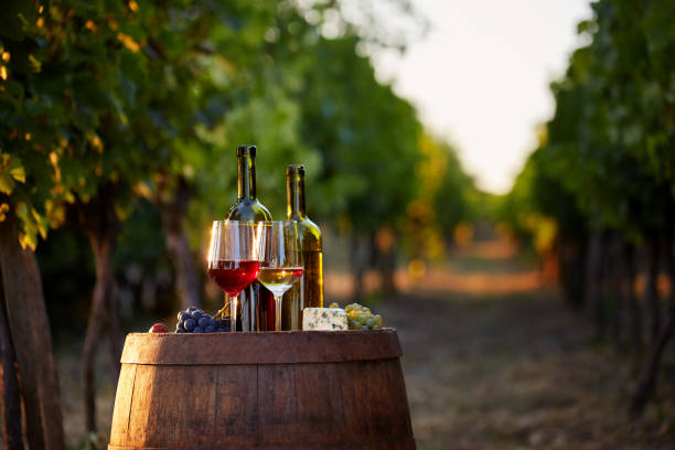 deux verres de blanc et rouge vin avec bouteilles au coucher du soleil. - wine wine bottle bottle red photos et images de collection